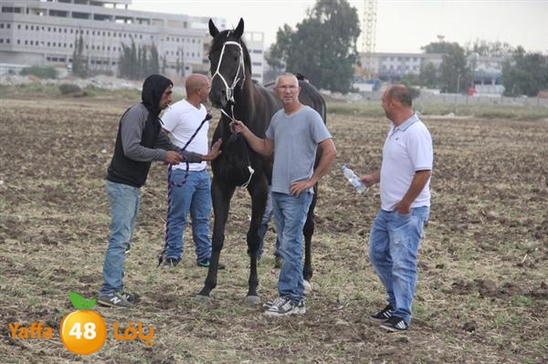 khoyoul lud 0610 (48).JPG